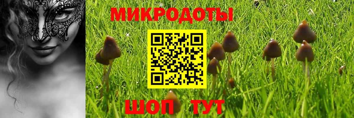 Псилоцибиновые грибы ЛСД  Вход с VPN  Трёхгорный 